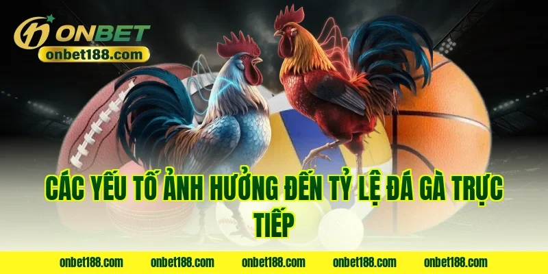 Các yếu tố ảnh hưởng đến tỷ lệ đá gà trực tiếp