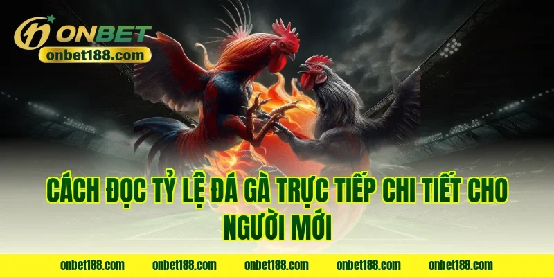 Cách đọc tỷ lệ đá gà trực tiếp chi tiết cho người mới