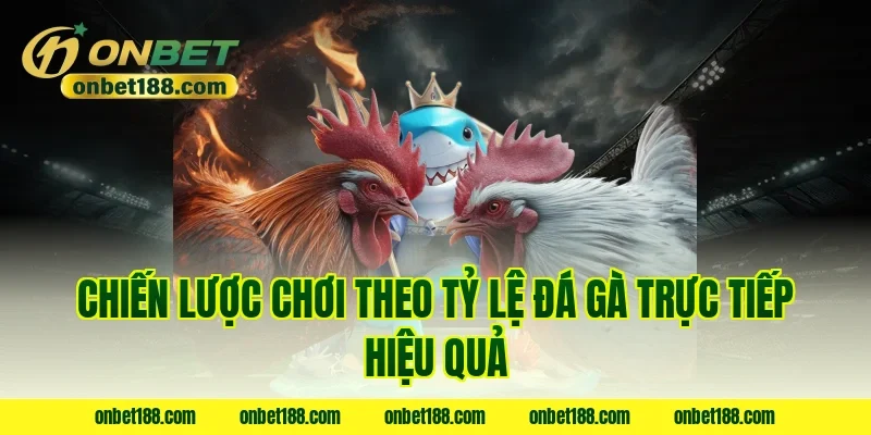 Chiến lược chơi theo tỷ lệ đá gà trực tiếp hiệu quả
