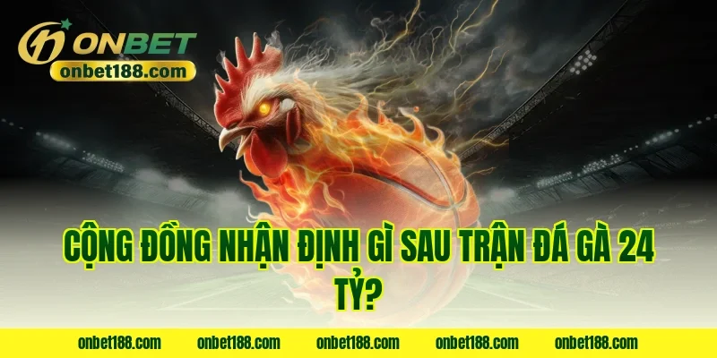 Cộng đồng nhận định gì sau trận đá gà 24 tỷ?