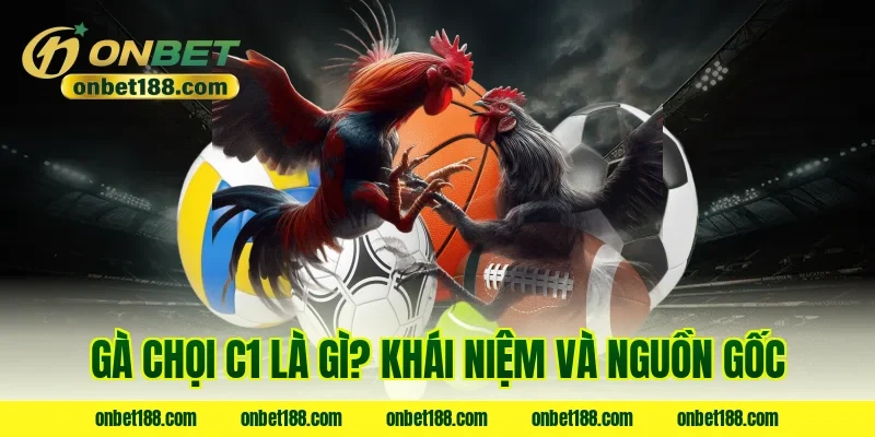 Gà chọi C1 là gì? Khái niệm và nguồn gốc