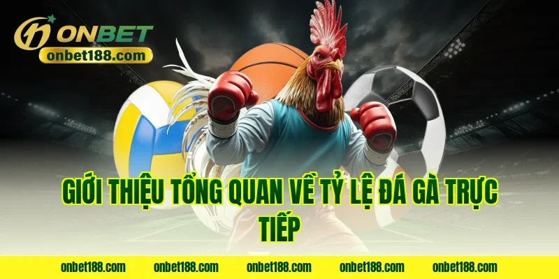 Giới thiệu tổng quan về tỷ lệ đá gà trực tiếp