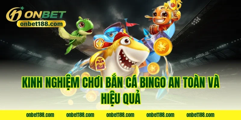 Kinh nghiệm chơi bắn cá bingo an toàn và hiệu quả