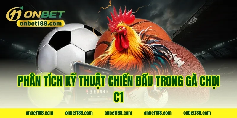 Phân tích kỹ thuật chiến đấu trong gà chọi C1