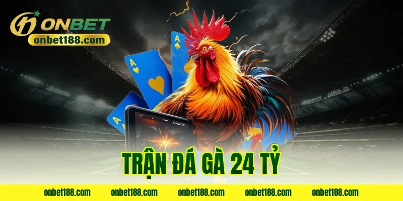 trận đá gà 24 tỷ