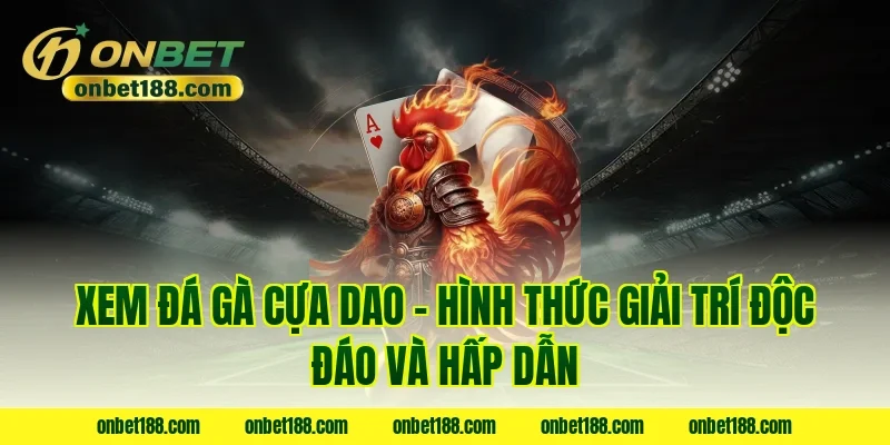 Xem đá gà cựa dao - Hình thức giải trí độc đáo và hấp dẫn